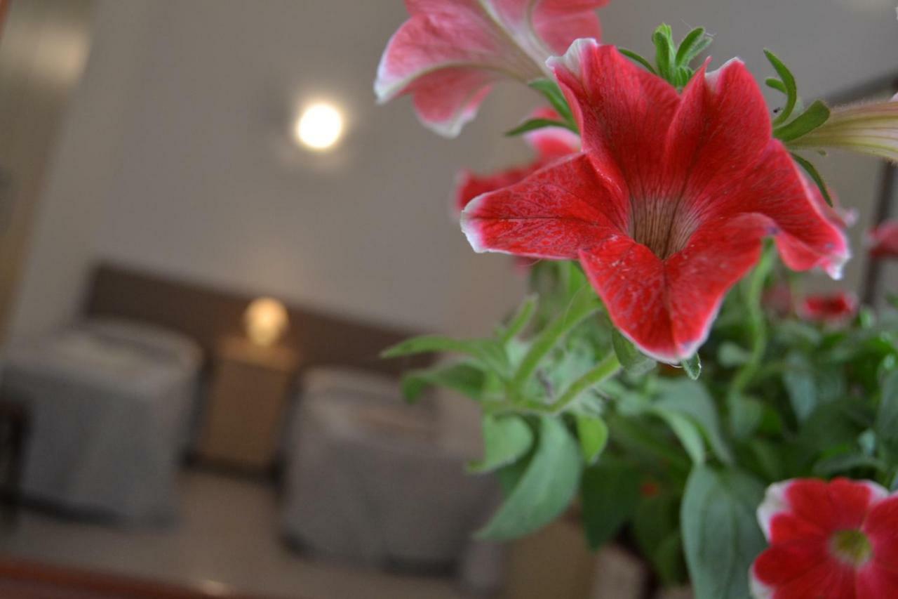 I Due Tesori Bed & Breakfast ซาน เชซาริโอ ดิ เลชเช ภายนอก รูปภาพ
